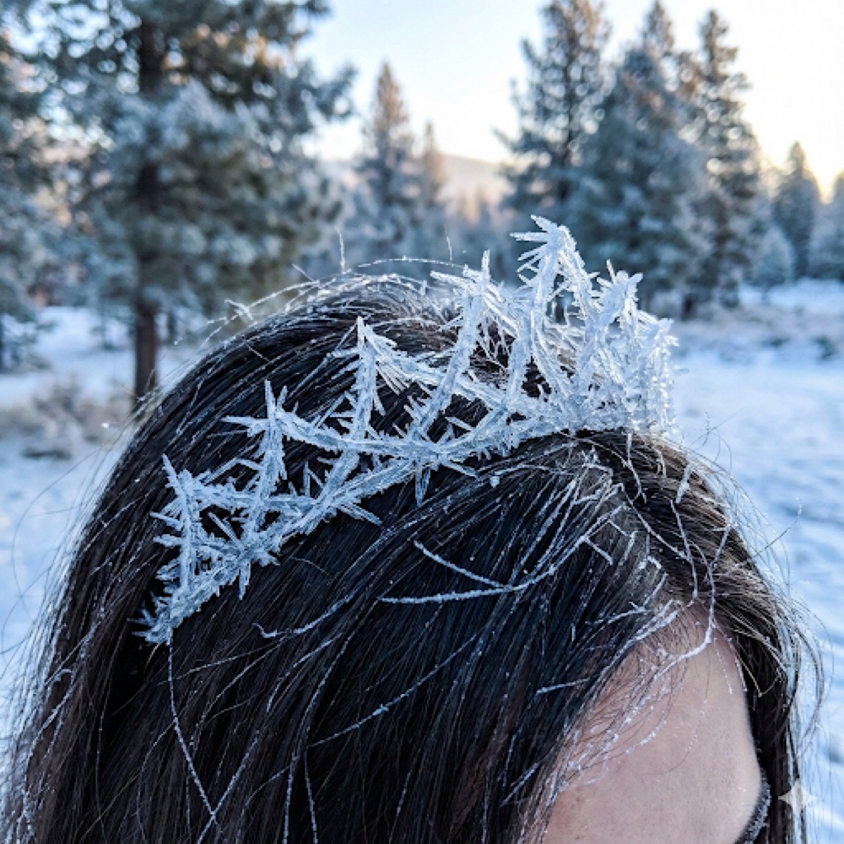 Frozen Hairline Animation Prompt example 1