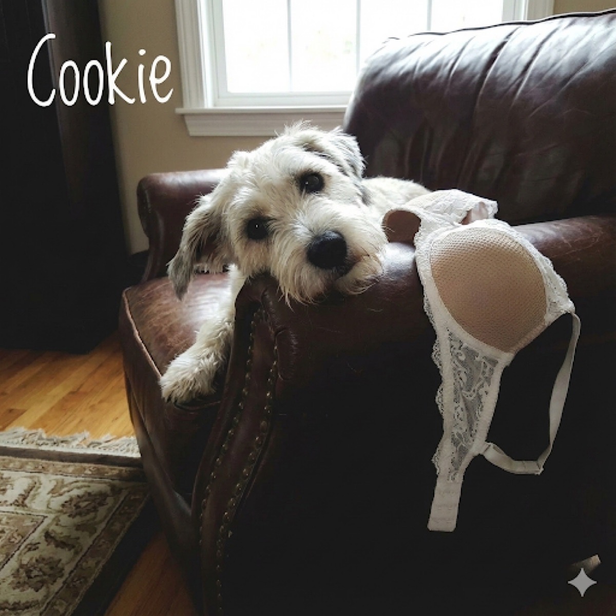 Playful Dog-in-Armchair Imagr Prompt example 1